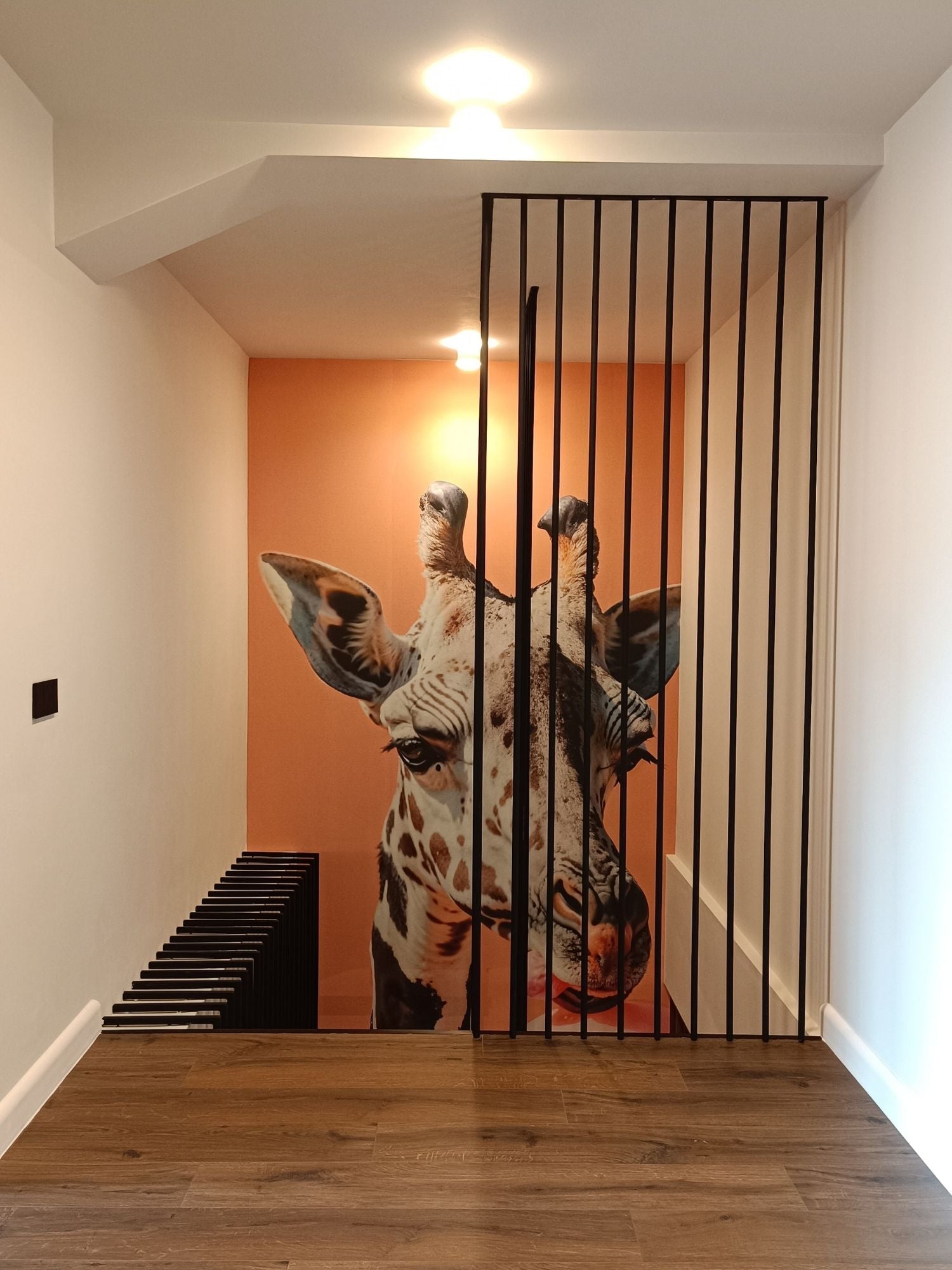 Penthouse, strada Mihai Romanul